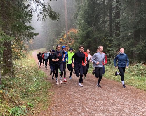 Trainingslehrgang in Freudenstadt